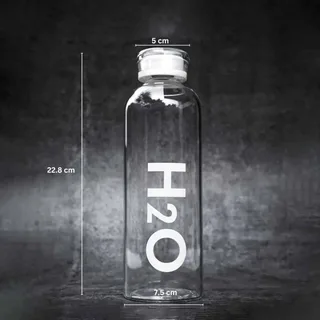 H2O Glass Water Bottle Glass Lid 01442