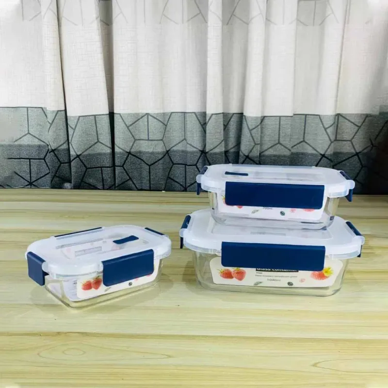 Airtight Rectangular Bati Transparent Blue lid 01508