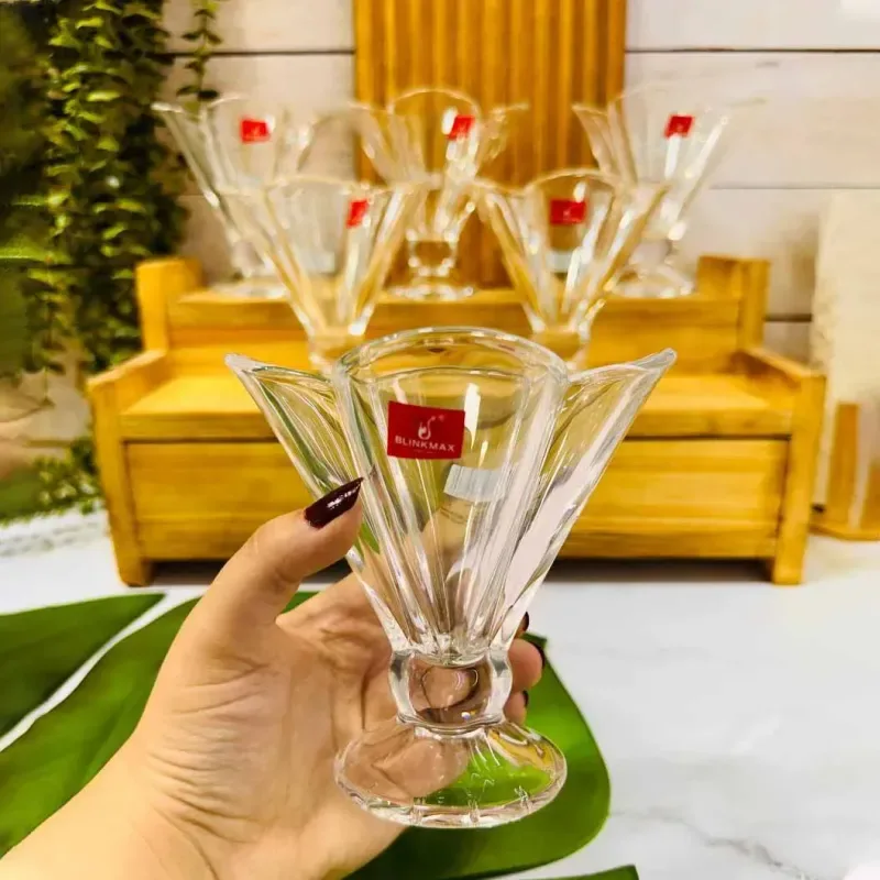 6pcs Ice Cream Cup Set (Shapla) 01390